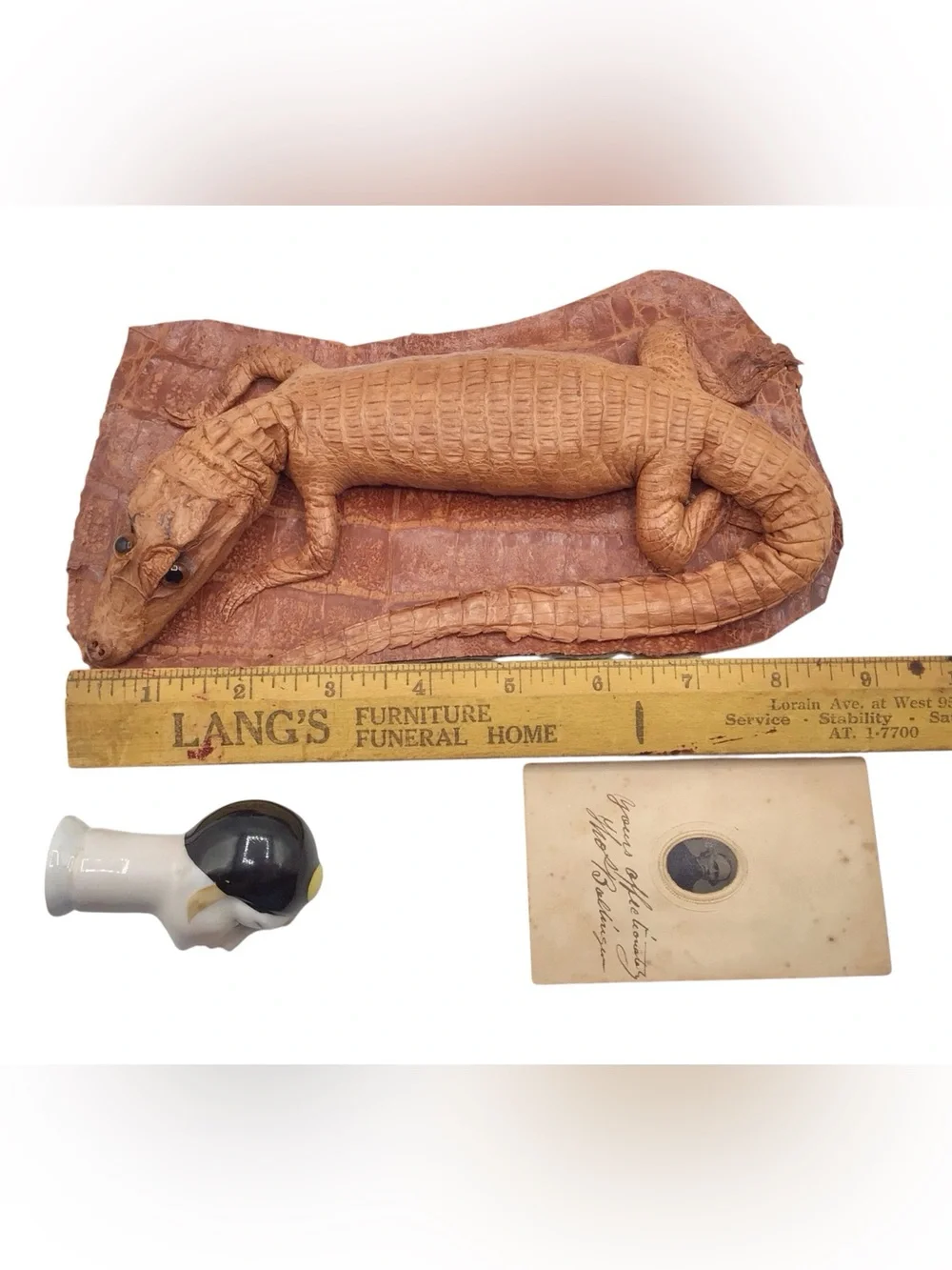Vintage Oddities Lot, Alligator Taxidermy, Small Antique Photo English Doll Head